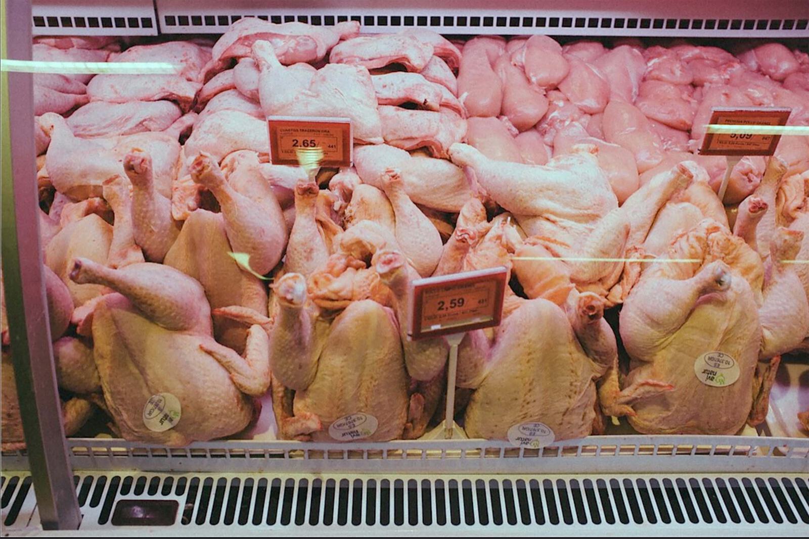 Animals Poultry 3000